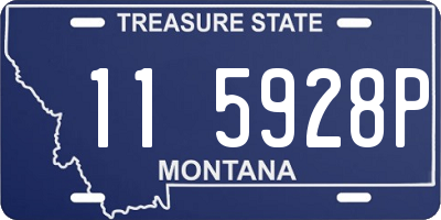 MT license plate 115928P
