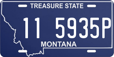 MT license plate 115935P
