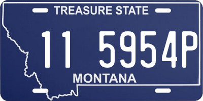 MT license plate 115954P