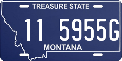 MT license plate 115955G