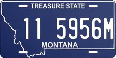 MT license plate 115956M