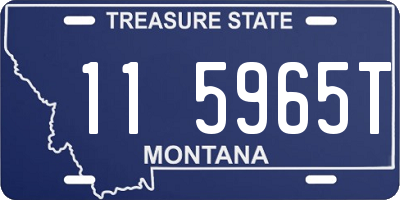 MT license plate 115965T