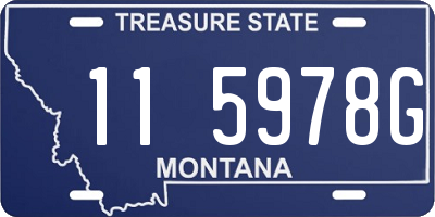 MT license plate 115978G