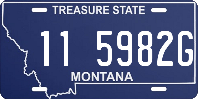 MT license plate 115982G