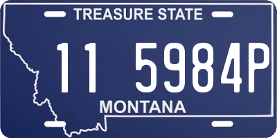 MT license plate 115984P
