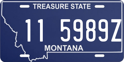 MT license plate 115989Z