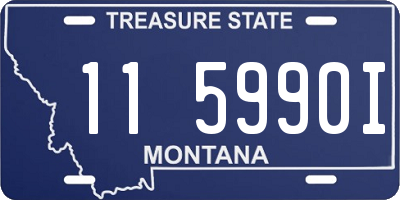 MT license plate 115990I