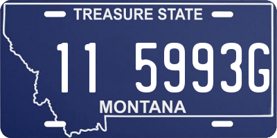 MT license plate 115993G