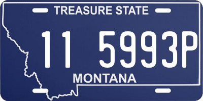 MT license plate 115993P