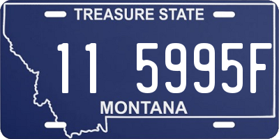 MT license plate 115995F