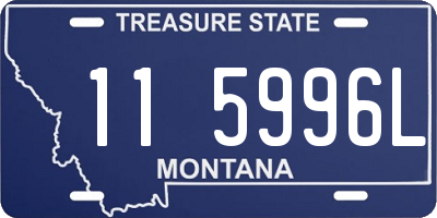 MT license plate 115996L