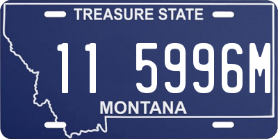 MT license plate 115996M