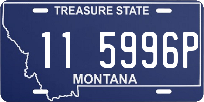 MT license plate 115996P