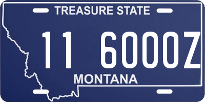 MT license plate 116000Z