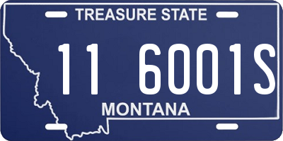 MT license plate 116001S