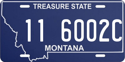 MT license plate 116002C