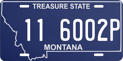 MT license plate 116002P