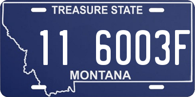 MT license plate 116003F