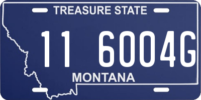 MT license plate 116004G