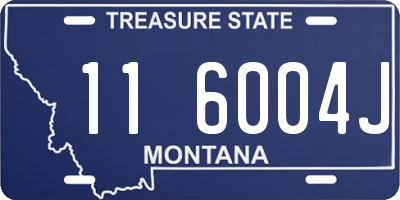 MT license plate 116004J