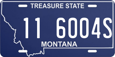 MT license plate 116004S