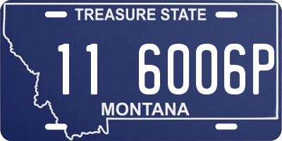 MT license plate 116006P