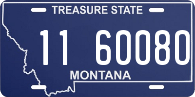MT license plate 116008O