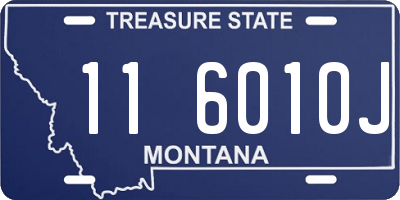 MT license plate 116010J