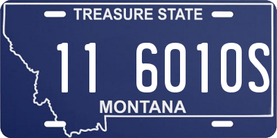MT license plate 116010S