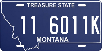 MT license plate 116011K