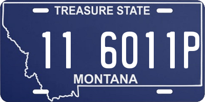 MT license plate 116011P