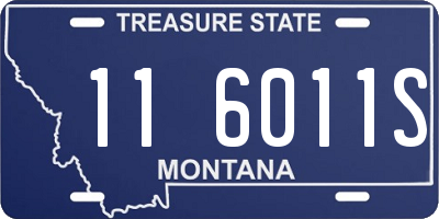 MT license plate 116011S