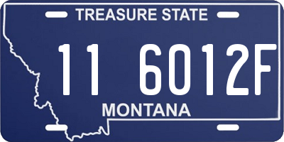 MT license plate 116012F
