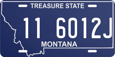 MT license plate 116012J