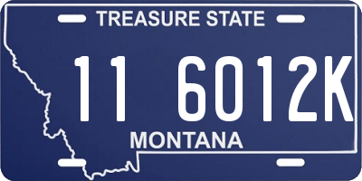 MT license plate 116012K