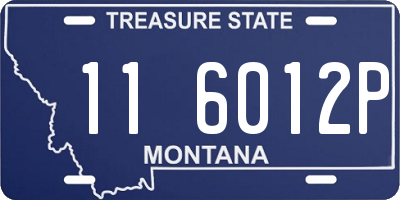 MT license plate 116012P