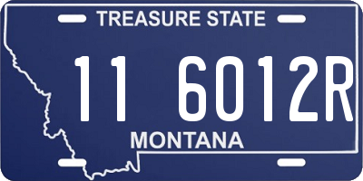 MT license plate 116012R