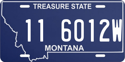 MT license plate 116012W