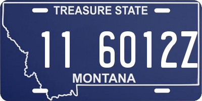 MT license plate 116012Z