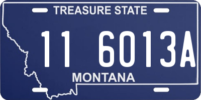 MT license plate 116013A