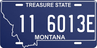 MT license plate 116013E