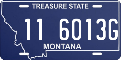 MT license plate 116013G