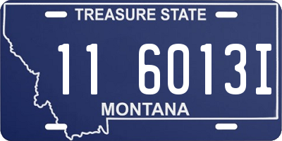 MT license plate 116013I