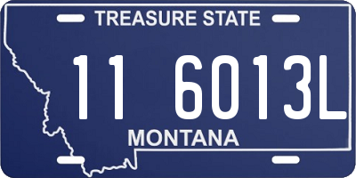 MT license plate 116013L