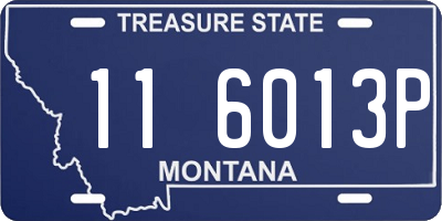 MT license plate 116013P
