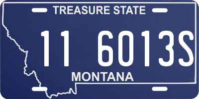 MT license plate 116013S