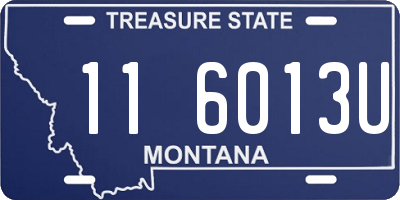 MT license plate 116013U