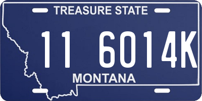 MT license plate 116014K