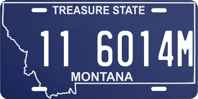 MT license plate 116014M