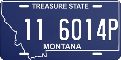 MT license plate 116014P